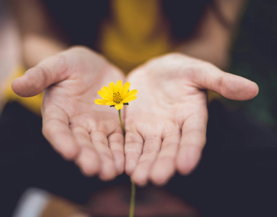 flower in hand