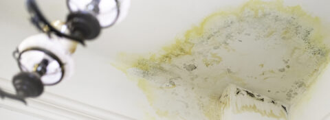 a stain on the ceiling in the apartment from flooding by the upstairs neighbors. water leak damage. insurance claiming case. flooding by neighbors. insurance case.