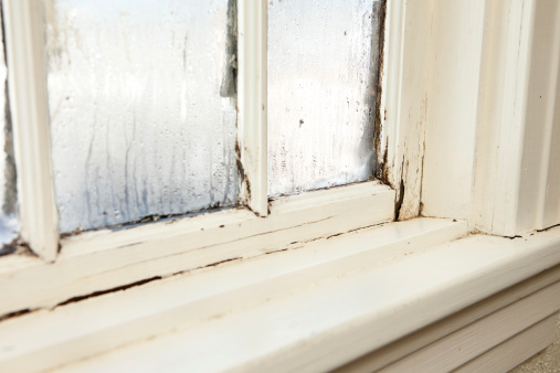 damaged, rotting window inside older home